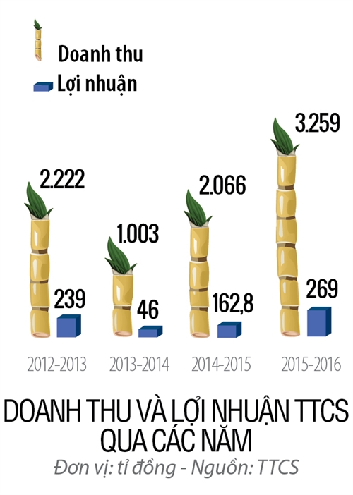 Top 50 2017: Mia duong Thanh Thanh Cong Tay Ninh