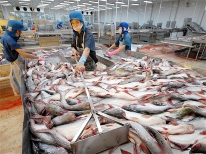 Mỹ giám sát cá da trơn không làm gián đoạn xuất khẩu của Việt Nam