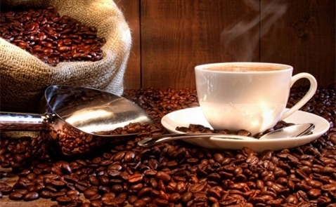 “Lên đời” cho cà phê Arabica