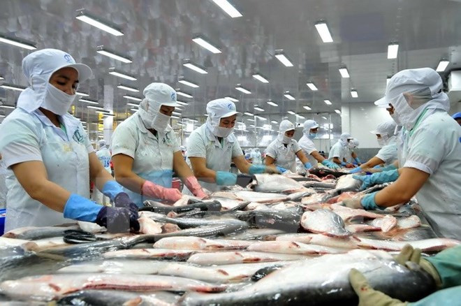 Xuất khẩu cá tra năm 2016: "Đừng quan tâm nhiều vào thị trường Mỹ"