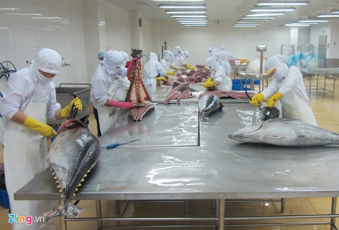 Thông báo kiểm soát nhập khẩu đối với việc xử lý carbon monoxide trong cá ngừ