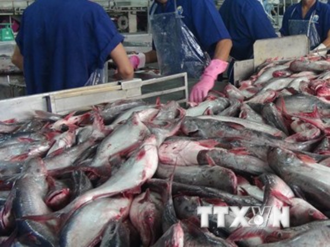 Các nghị sỹ Mỹ trình Nghị quyết bỏ áp quy định mới về cá da trơn