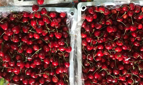 Cherry Trung Quốc giá rẻ chiếm lĩnh chợ online