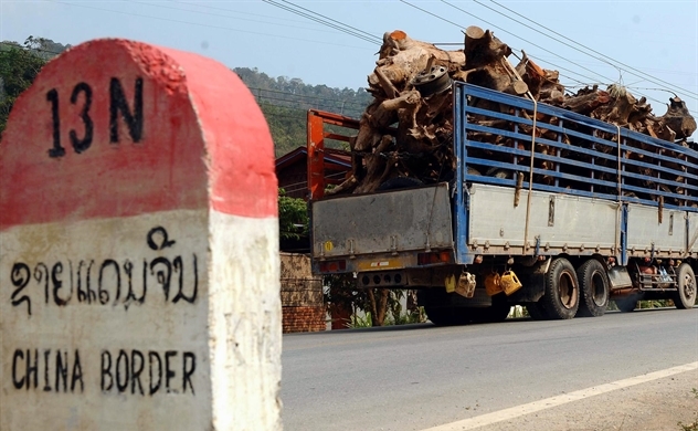 Lào: Triệu voi gục ngã vì nợ của Trung Quốc