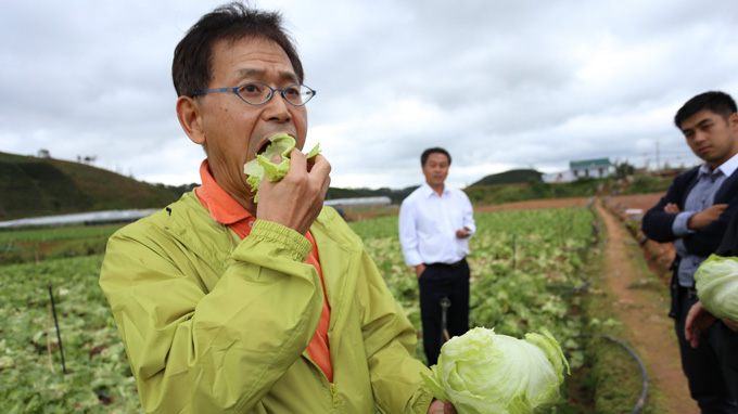 Chuyên gia Nhật: Nông dân Việt nên học làm nông nghiệp theo chuẩn