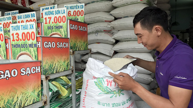 Gạo Việt đang lép vế trước gạo Cam, gạo Thái