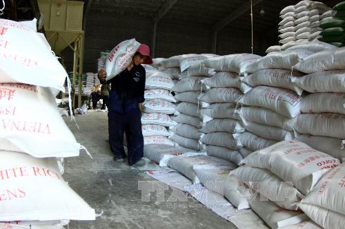 Xuất khẩu gạo 'ấm' lại sau một thời kỳ dài trầm lắng