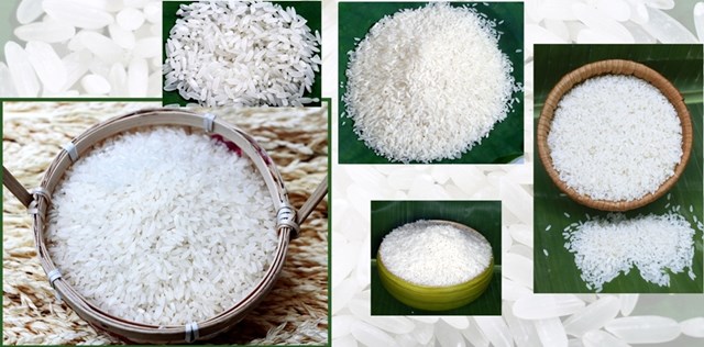 Kim ngạch xuất khẩu gạo 10 tháng đầu năm tăng gần 16%