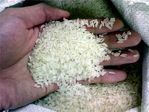 Giá gạo xuất khẩu đang thấp kỷ lục