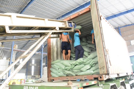 Trung Quốc 'ăn' gần 50% lượng gạo Việt Nam
