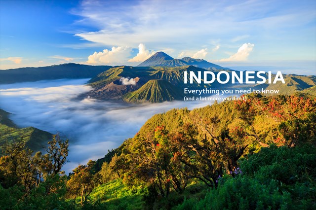 Xuất khẩu sang Indonesia 6 tháng đầu năm và những điều cần biết
