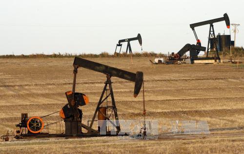 Giá dầu thế giới liệu có đi lên sau một quý đi xuống?