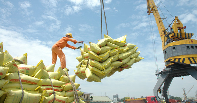 Công bố hàng loạt sai phạm tại Tổng công ty Lương thực miền Nam