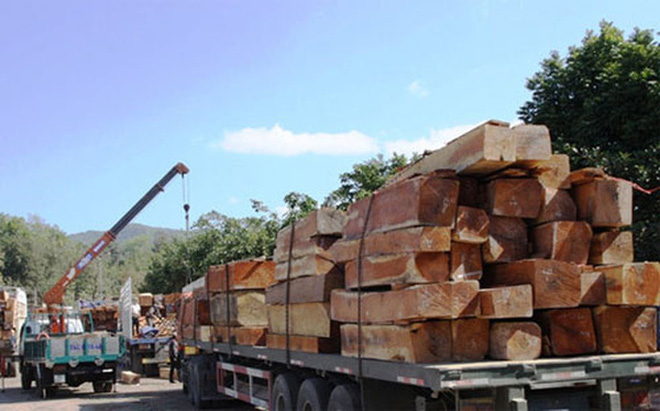 Gỗ và sản phẩm gỗ nhập khẩu từ Myanmar vào Việt Nam tăng mạnh nhất