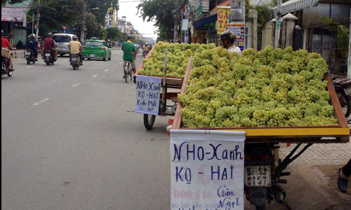 Những loại trái cây Trung Quốc đội lốt hàng Việt