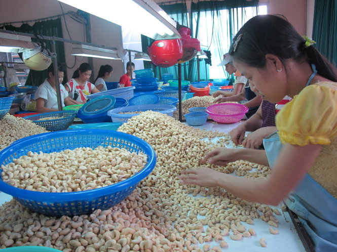 Trung Quốc- 'miền đất hứa' thị trường xuất khẩu nông sản