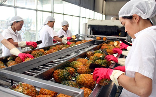 Cơ hội cho rau quả Việt Nam rộng đường sang UAE