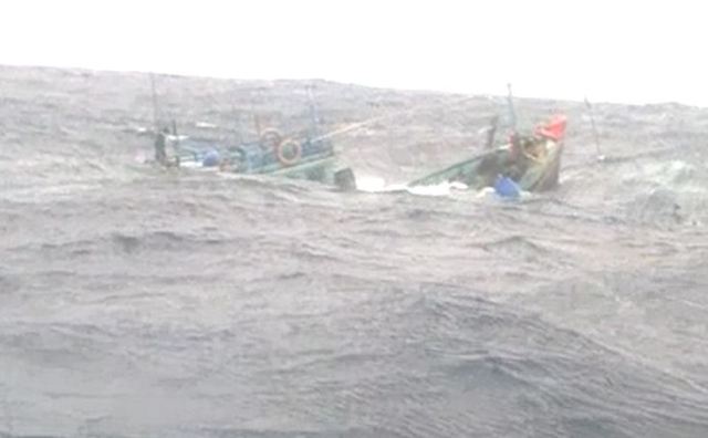 Tàu nước ngoài đâm chìm tàu cá Việt Nam, bỏ mặc 7 ngư dân rơi xuống biển