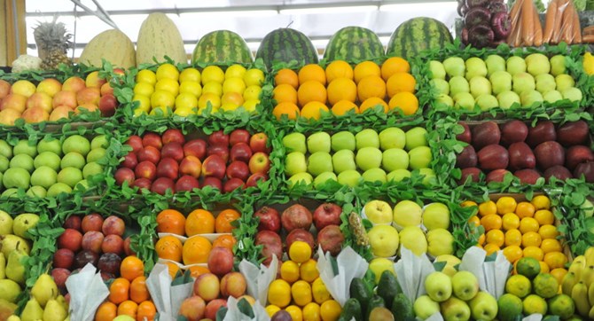 Lạng Sơn: Hơn 400.000 tấn hoa quả, nông sản Việt xuất qua Trung Quốc