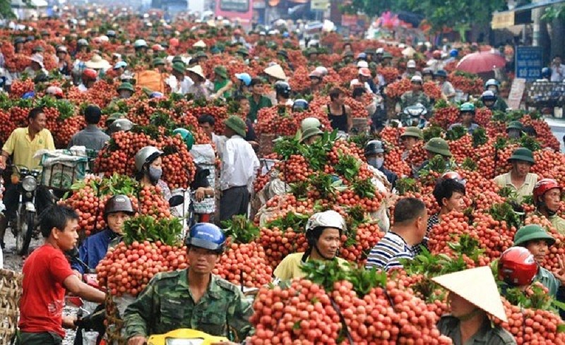 Một góc nhìn khác về thương lái Trung Quốc - ảnh 2