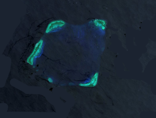 Ảnh vệ tinh chụp bãi Hải Sâm. Ảnh: NASA