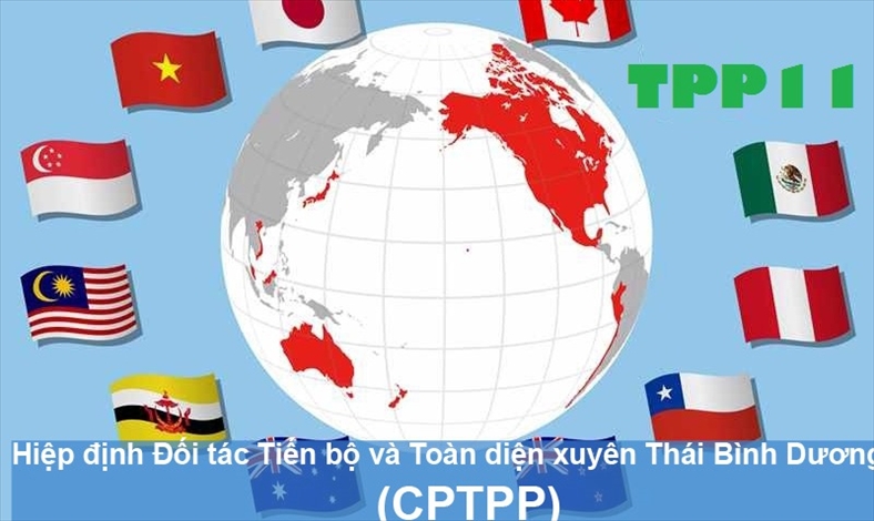 Các nước CPTPP mở cửa thế nào cho hàng hóa Việt Nam?