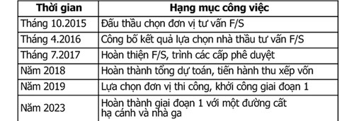 Sân bay Long Thành 'vẫn chưa vào đường ray' - ảnh 3