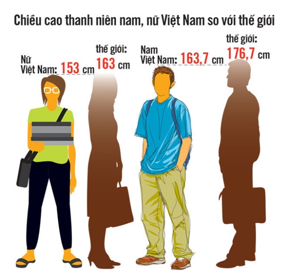 chieu cao thanh nien viet nam theo ket qua dieu tra tu thang 10/2014 den thang 10/2015.