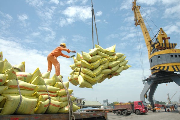 Xuất khẩu gạo: Giá bán không theo kịp giá mua