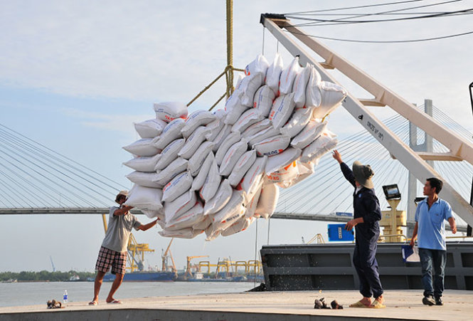 Cơ cấu gạo xuất khẩu chuyển biến tích cực
