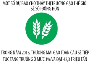 Du bao thi truong xuat khau gao Viet Nam nam 2018