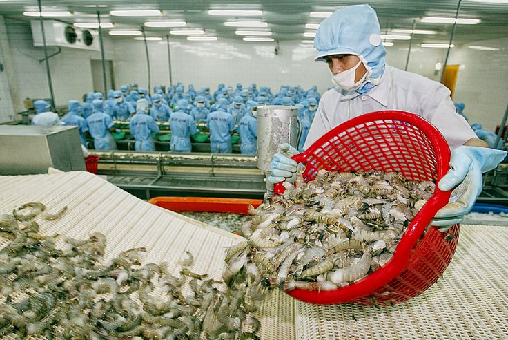 Hàng Trung Quốc 'ăn ốc', hàng Việt 'đổ vỏ'
